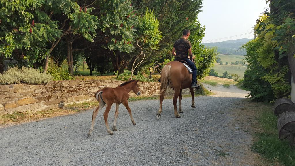 Agriturismo Corte Del Gallo ريفرغارو المظهر الخارجي الصورة